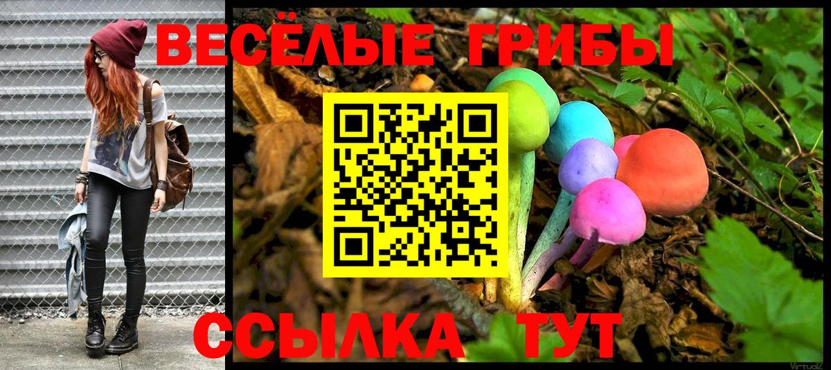 наркошоп  Вход с VPN  Петропавловск-Камчатский  Галлюциногенные грибы прущие грибы 
