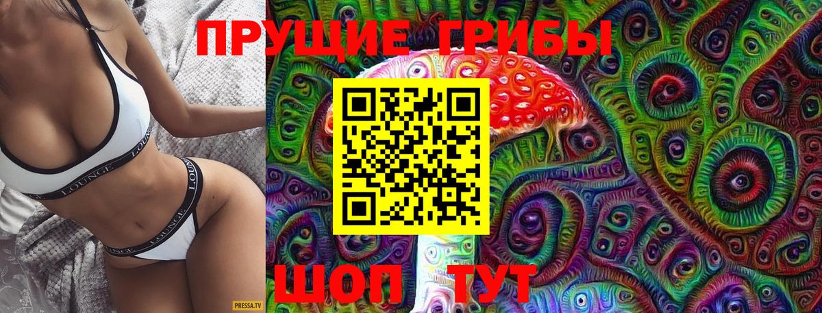 Галлюциногенные грибы GOLDEN TEACHER Петропавловск-Камчатский